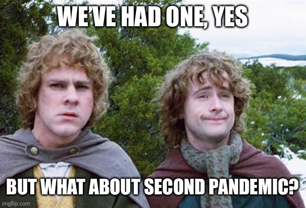 Second pandemic | WE’VE HAD ONE, YES; BUT WHAT ABOUT SECOND PANDEMIC? | image tagged in second breakfast | made w/ Imgflip meme maker
