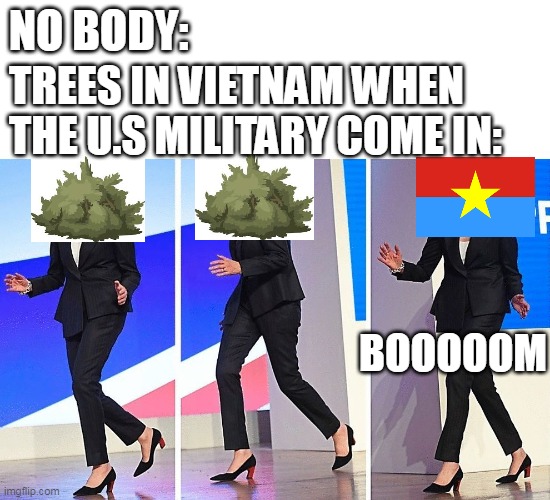 Theresa May Walking | NO BODY:; TREES IN VIETNAM WHEN THE U.S MILITARY COME IN:; BOOOOOM | image tagged in theresa may walking,vietnam | made w/ Imgflip meme maker