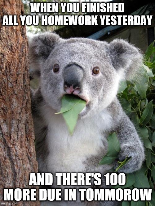 Surprised Koala Meme | WHEN YOU FINISHED ALL YOU HOMEWORK YESTERDAY; AND THERE'S 100 MORE DUE IN TOMMOROW | image tagged in memes,surprised koala,homework | made w/ Imgflip meme maker