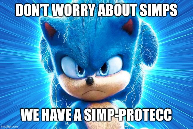 Simps......be scared | DON’T WORRY ABOUT SIMPS; WE HAVE A SIMP-PROTECC | image tagged in sonic the hedgehog,simp | made w/ Imgflip meme maker