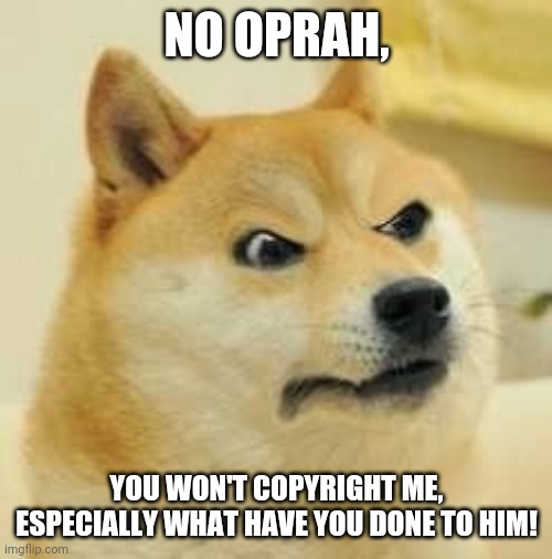 angry doge | NO OPRAH, YOU WON'T COPYRIGHT ME, ESPECIALLY WHAT HAVE YOU DONE TO HIM! | image tagged in angry doge | made w/ Imgflip meme maker
