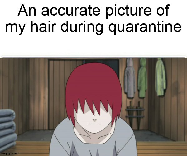 bush hair | An accurate picture of my hair during quarantine | image tagged in anime,naruto shippuden | made w/ Imgflip meme maker