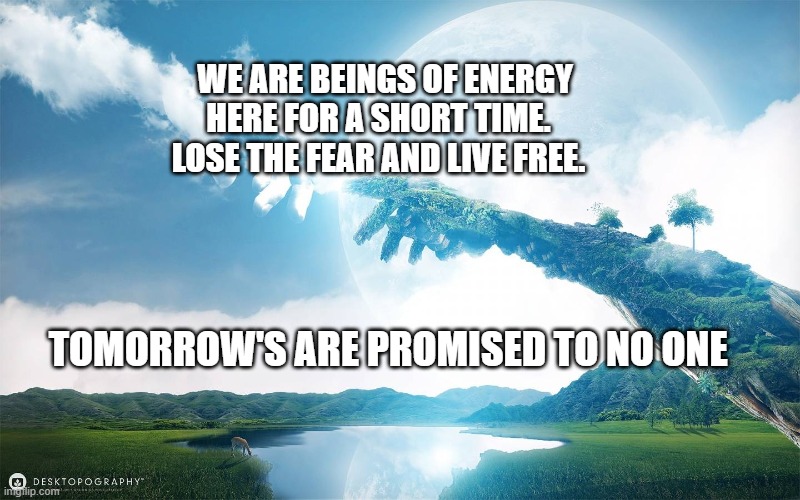 Touch of nature | WE ARE BEINGS OF ENERGY HERE FOR A SHORT TIME.   LOSE THE FEAR AND LIVE FREE. TOMORROW'S ARE PROMISED TO NO ONE | image tagged in touch of nature | made w/ Imgflip meme maker