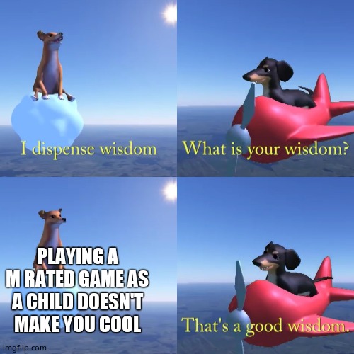 That's a good wisdom | PLAYING A M RATED GAME AS A CHILD DOESN'T MAKE YOU COOL | image tagged in that's a good wisdom | made w/ Imgflip meme maker
