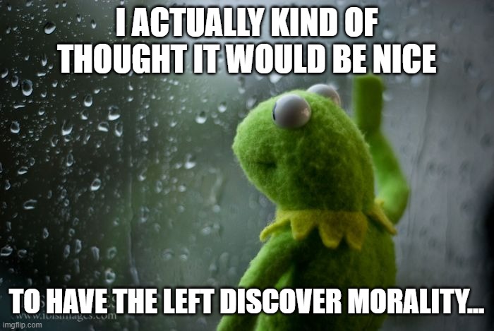 kermit window | I ACTUALLY KIND OF THOUGHT IT WOULD BE NICE TO HAVE THE LEFT DISCOVER MORALITY... | image tagged in kermit window | made w/ Imgflip meme maker