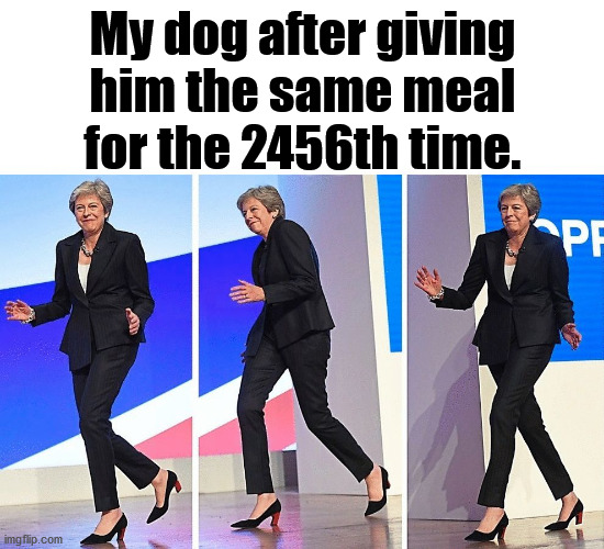 If I have something 2 days in a row, I am sick of it. | My dog after giving him the same meal for the 2456th time. | image tagged in theresa may walking,dogs,happy | made w/ Imgflip meme maker
