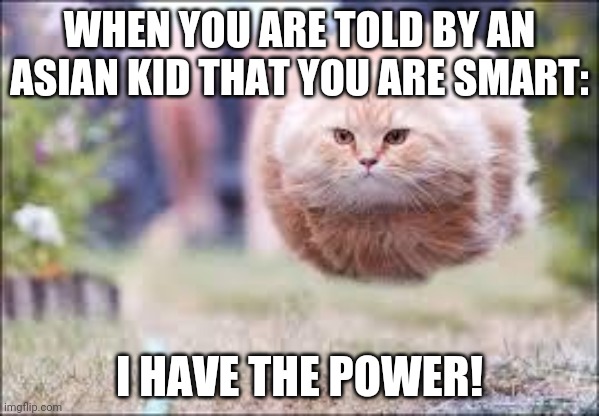 flying cat ball | WHEN YOU ARE TOLD BY AN ASIAN KID THAT YOU ARE SMART:; I HAVE THE POWER! | image tagged in flying cat ball | made w/ Imgflip meme maker