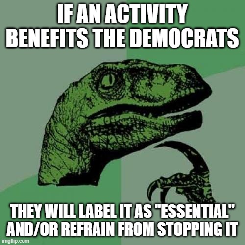 Philosoraptor Meme | IF AN ACTIVITY BENEFITS THE DEMOCRATS THEY WILL LABEL IT AS "ESSENTIAL" AND/OR REFRAIN FROM STOPPING IT | image tagged in memes,philosoraptor | made w/ Imgflip meme maker