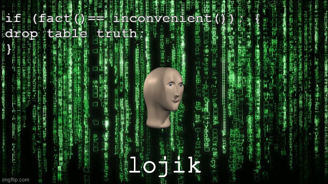 Matrix Code | if (fact()== inconvenient()); {
drop table truth;
} lojik | image tagged in matrix code | made w/ Imgflip meme maker
