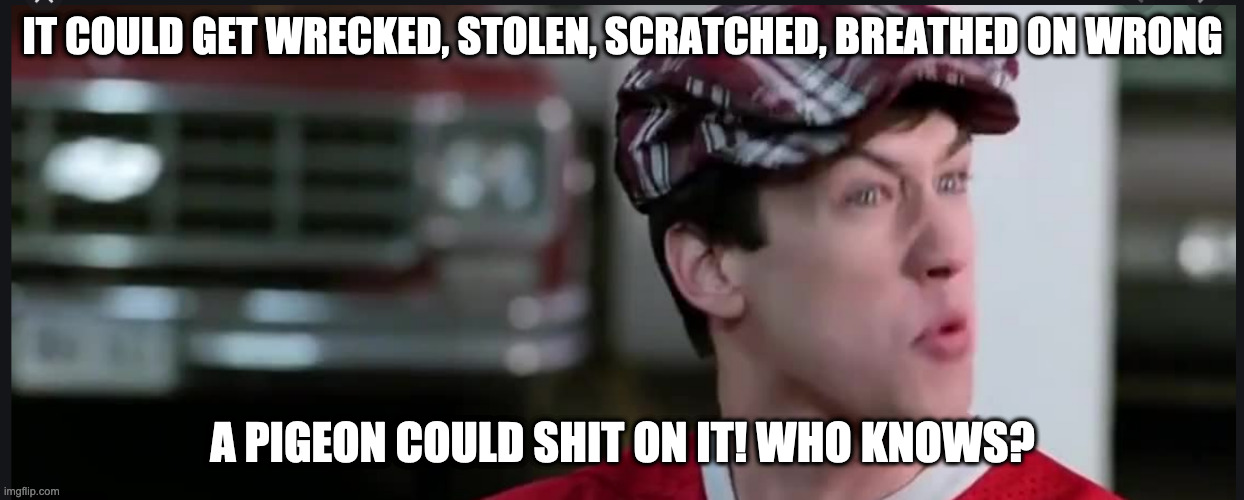 A pigeon could shit on it | IT COULD GET WRECKED, STOLEN, SCRATCHED, BREATHED ON WRONG; A PIGEON COULD SHIT ON IT! WHO KNOWS? | image tagged in ferris bueller,cameron,pigeon | made w/ Imgflip meme maker