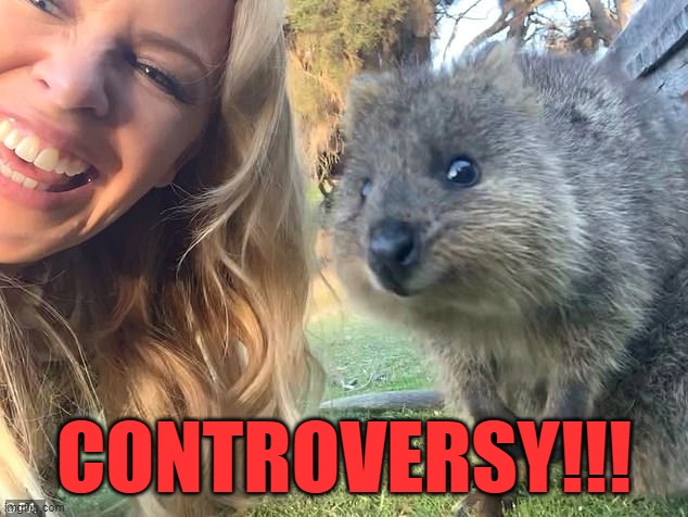 In what universe is a cutesy ad campaign for Australian tourism controversial? The universe in which the continent is on fire | CONTROVERSY!!! | image tagged in wildfires,controversy,controversial,cute,meanwhile in australia,advertisement | made w/ Imgflip meme maker