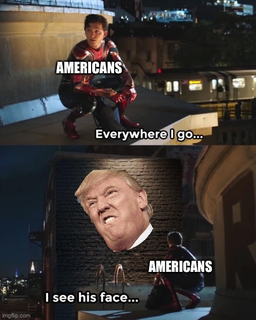 TRUMP IS EVERYWHERE | AMERICANS; AMERICANS | image tagged in everywhere i go i see his face | made w/ Imgflip meme maker