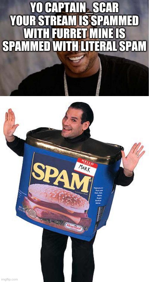 It is | YO CAPTAIN_SCAR YOUR STREAM IS SPAMMED WITH FURRET MINE IS SPAMMED WITH LITERAL SPAM | image tagged in memes,yo dawg heard you,spam | made w/ Imgflip meme maker