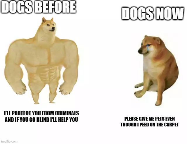 Buff Doge vs. Cheems Meme | DOGS BEFORE; DOGS NOW; I'LL PROTECT YOU FROM CRIMINALS AND IF YOU GO BLIND I'LL HELP YOU; PLEASE GIVE ME PETS EVEN THOUGH I PEED ON THE CARPET | image tagged in buff doge vs cheems | made w/ Imgflip meme maker