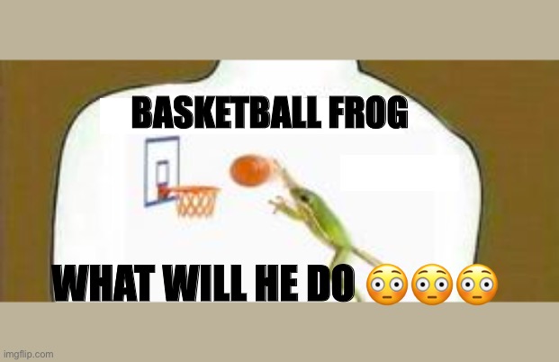 Frog | BASKETBALL FROG; WHAT WILL HE DO 😳😳😳 | image tagged in funny | made w/ Imgflip meme maker