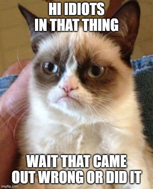 Grumpy Cat Meme | HI IDIOTS IN THAT THING; WAIT THAT CAME OUT WRONG OR DID IT | image tagged in memes,grumpy cat | made w/ Imgflip meme maker