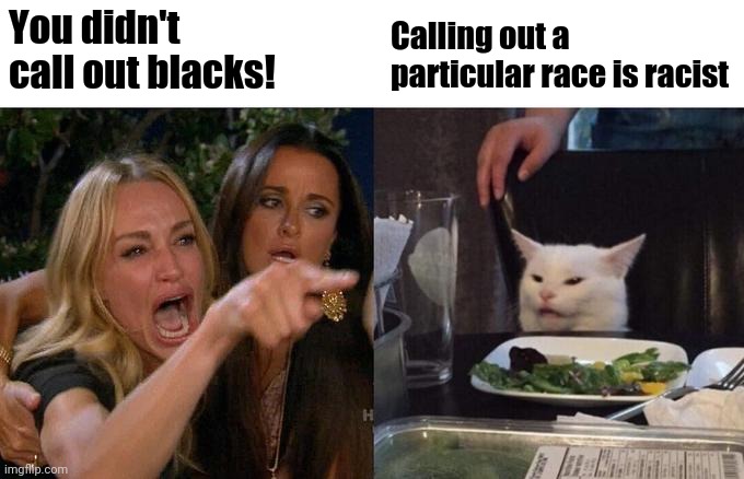 Woman Yelling At Cat Meme | You didn't call out blacks! Calling out a particular race is racist | image tagged in memes,woman yelling at cat | made w/ Imgflip meme maker