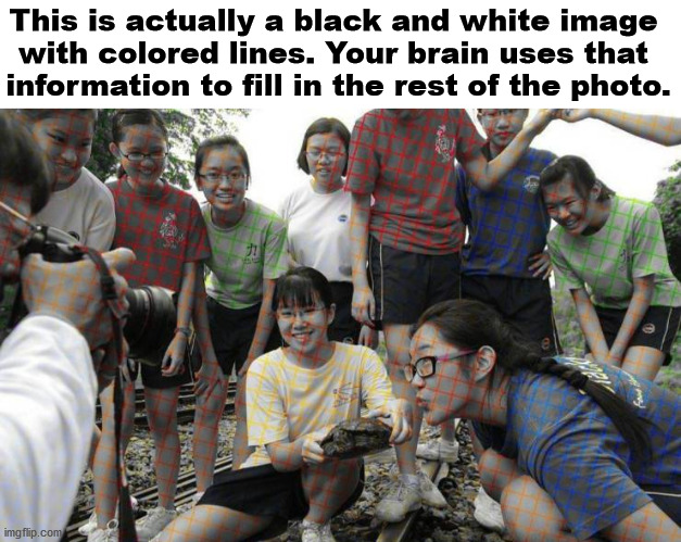 Nice change | This is actually a black and white image 
with colored lines. Your brain uses that 
information to fill in the rest of the photo. | image tagged in black and white,colorized | made w/ Imgflip meme maker