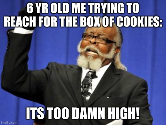 Too damn high | 6 YR OLD ME TRYING TO REACH FOR THE BOX OF COOKIES:; ITS TOO DAMN HIGH! | image tagged in memes,too damn high | made w/ Imgflip meme maker