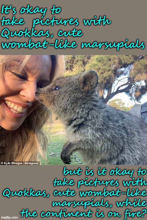 She should have frowned more. | It's okay to take  pictures with Quokkas, cute wombat-like marsupials; but is it okay to take pictures with Quokkas, cute wombat-like marsupials, while the continent is on fire? | image tagged in kylie wombat,wildfires,wildlife,cute,meanwhile in australia,australia | made w/ Imgflip meme maker