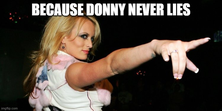 Stormy Daniels | BECAUSE DONNY NEVER LIES | image tagged in stormy daniels | made w/ Imgflip meme maker
