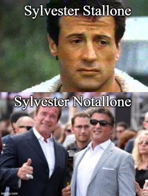 Stallone | Sylvester Stallone; Sylvester Notallone | image tagged in sylvester stallone | made w/ Imgflip meme maker
