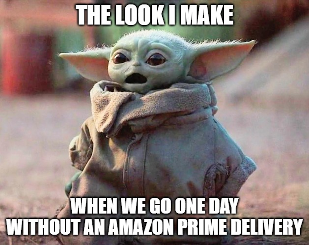 No Prime Delivery | THE LOOK I MAKE; WHEN WE GO ONE DAY WITHOUT AN AMAZON PRIME DELIVERY | image tagged in baby yoda surprised | made w/ Imgflip meme maker