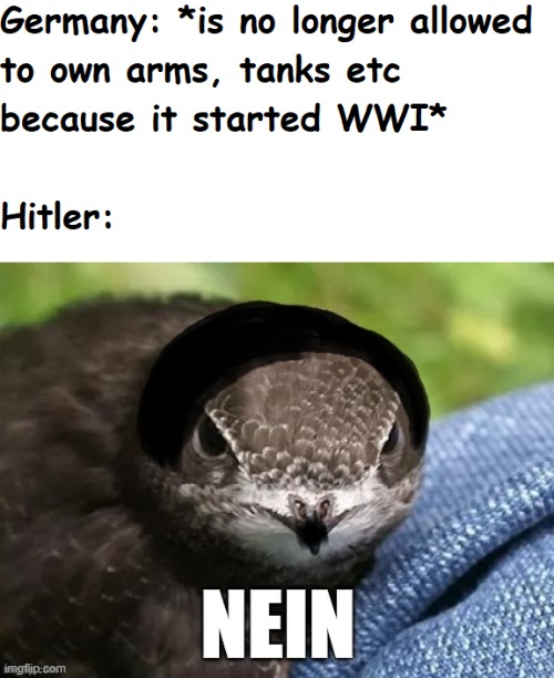 The First Big 'Nein' | image tagged in hitler,angry,german,nein,birds,wwi | made w/ Imgflip meme maker