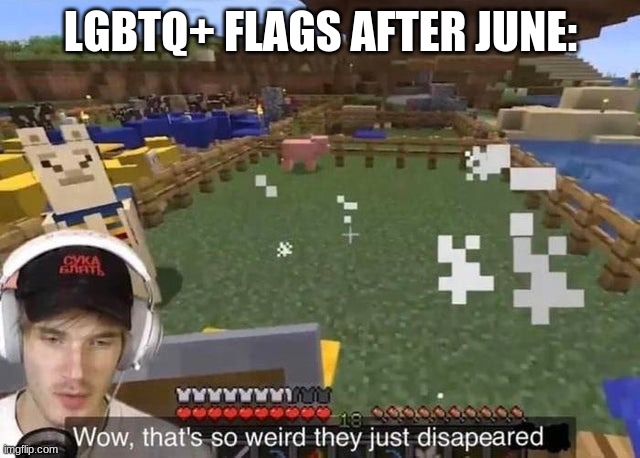 Pride flags after june pewdiepie | LGBTQ+ FLAGS AFTER JUNE: | image tagged in they just disappeared | made w/ Imgflip meme maker