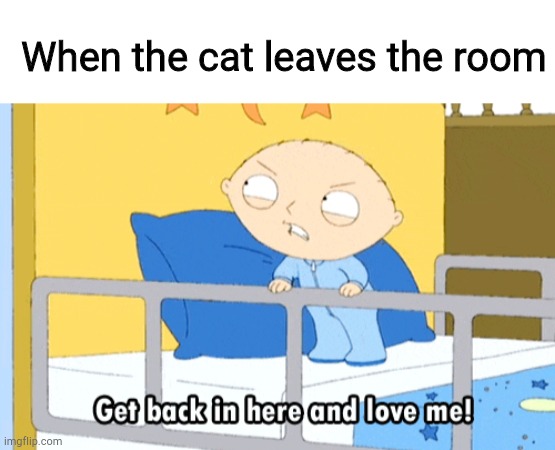 When the cat leaves the room | image tagged in blank white template,stewie love me | made w/ Imgflip meme maker