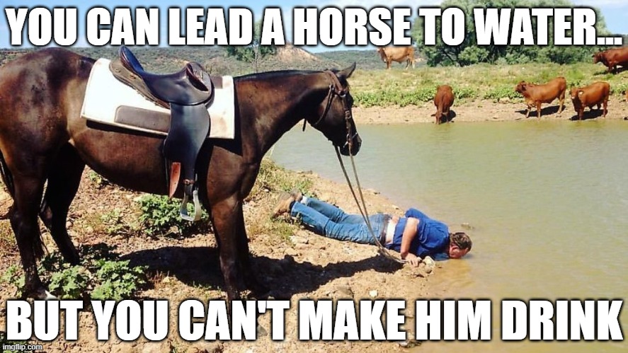 When they dismiss your citations to 1000+ pages of testimony against the Trump Administration. | YOU CAN LEAD A HORSE TO WATER... BUT YOU CAN'T MAKE HIM DRINK | image tagged in you can lead a -blank- to water,trump administration,politics lol,political humor,trump impeachment,trump is a moron | made w/ Imgflip meme maker