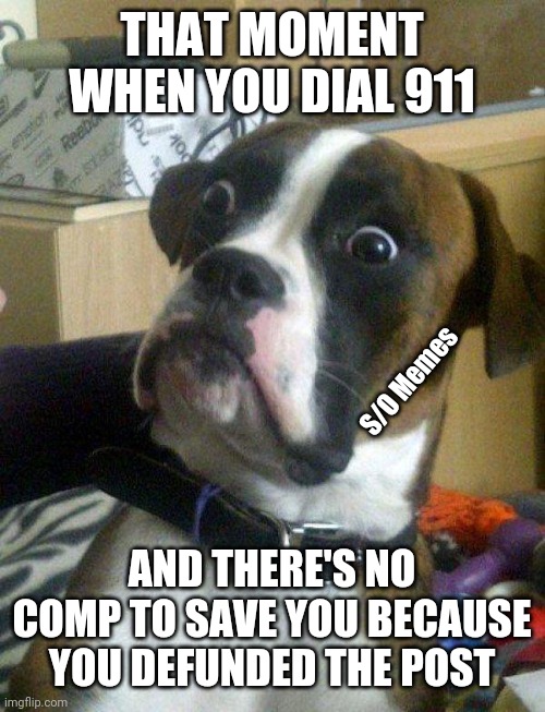 Cause and effect | THAT MOMENT WHEN YOU DIAL 911; S/O Memes; AND THERE'S NO COMP TO SAVE YOU BECAUSE YOU DEFUNDED THE POST | image tagged in blankie the shocked dog | made w/ Imgflip meme maker
