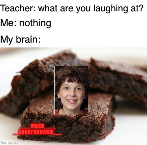 Ok but seriously | ____MILLIE____

__BOBBY BROWNIE___ | image tagged in brownie,teacher what are you laughing at | made w/ Imgflip meme maker