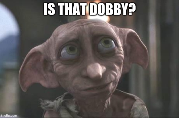 dobby | IS THAT DOBBY? | image tagged in dobby | made w/ Imgflip meme maker