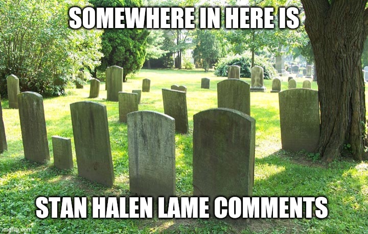 Cemetery | SOMEWHERE IN HERE IS STAN HALEN LAME COMMENTS | image tagged in cemetery | made w/ Imgflip meme maker
