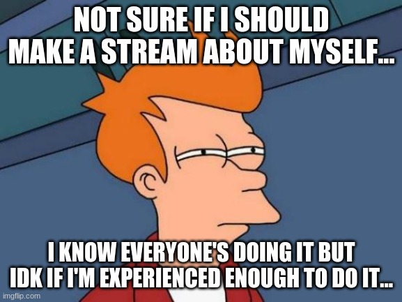 What do y'all think? | NOT SURE IF I SHOULD MAKE A STREAM ABOUT MYSELF... I KNOW EVERYONE'S DOING IT BUT IDK IF I'M EXPERIENCED ENOUGH TO DO IT... | image tagged in memes,futurama fry,streams,streams about themselves | made w/ Imgflip meme maker