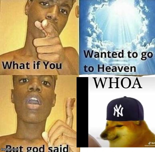 What if you wanted to go to Heaven | WHOA | image tagged in what if you wanted to go to heaven | made w/ Imgflip meme maker