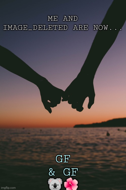 :3 I'm so happy!!!! | GF & GF 🐨🌺; ME AND IMAGE_DELETED ARE NOW... | made w/ Imgflip meme maker