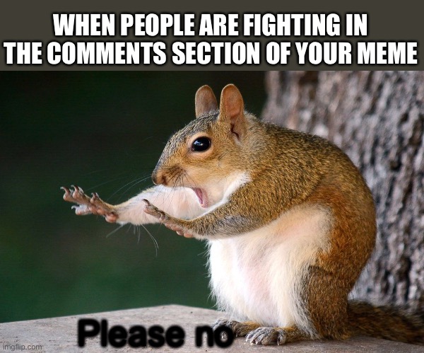 I hate when this happens | WHEN PEOPLE ARE FIGHTING IN THE COMMENTS SECTION OF YOUR MEME; Please no | image tagged in stop squirrel | made w/ Imgflip meme maker