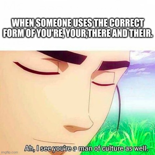 Grammar Meme | WHEN SOMEONE USES THE CORRECT FORM OF YOU'RE, YOUR,THERE AND THEIR. | image tagged in ah i see you are a man of culture as well | made w/ Imgflip meme maker