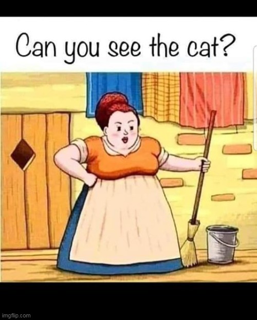 cat | image tagged in cat | made w/ Imgflip meme maker