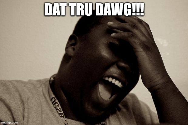 laughter | DAT TRU DAWG!!! | image tagged in laughter | made w/ Imgflip meme maker