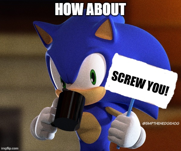 Sonic no sign | HOW ABOUT SCREW YOU! | image tagged in sonic no sign | made w/ Imgflip meme maker