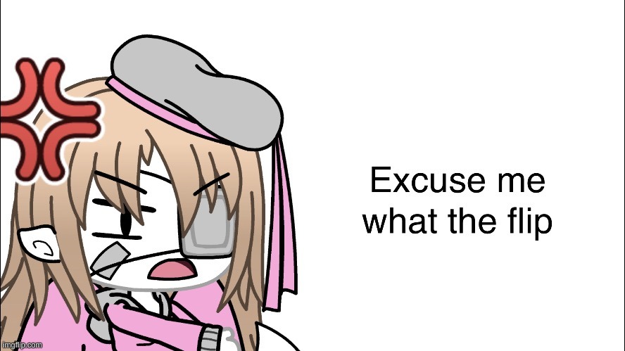 I am saving all the CookieUwU templates due to the account deletion | image tagged in cookieuwu_memer excuse me what the flip | made w/ Imgflip meme maker