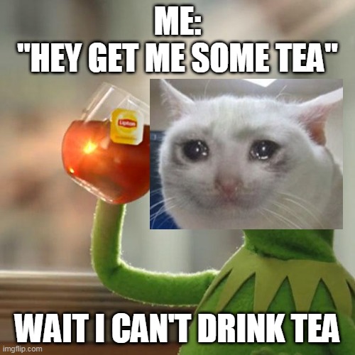 But That's None Of My Business | ME:
"HEY GET ME SOME TEA"; WAIT I CAN'T DRINK TEA | image tagged in memes,but that's none of my business,kermit the frog | made w/ Imgflip meme maker