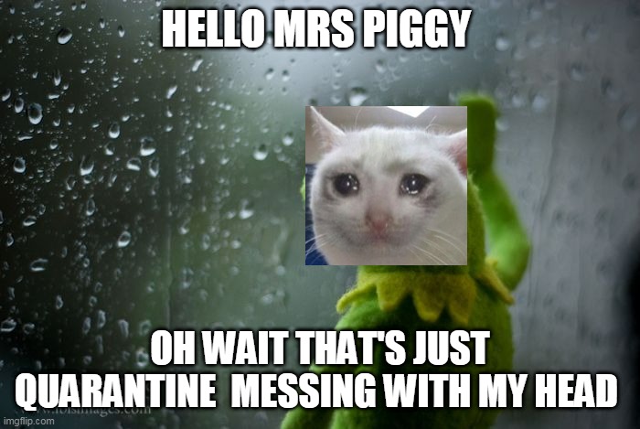 kermit window | HELLO MRS PIGGY; OH WAIT THAT'S JUST QUARANTINE  MESSING WITH MY HEAD | image tagged in kermit window | made w/ Imgflip meme maker