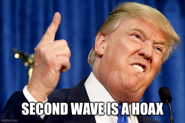 Donald Trump | SECOND WAVE IS A HOAX | image tagged in donald trump | made w/ Imgflip meme maker