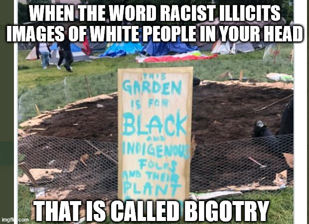 WHEN THE WORD RACIST ILLICITS IMAGES OF WHITE PEOPLE IN YOUR HEAD; THAT IS CALLED BIGOTRY | image tagged in chaz | made w/ Imgflip meme maker