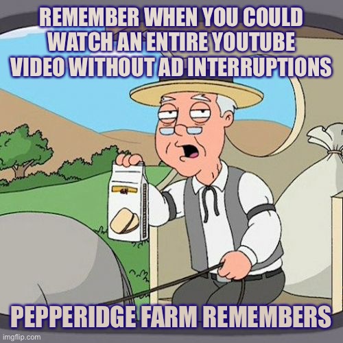 Pepperidge Farm Remembers | REMEMBER WHEN YOU COULD WATCH AN ENTIRE YOUTUBE VIDEO WITHOUT AD INTERRUPTIONS; PEPPERIDGE FARM REMEMBERS | image tagged in memes,pepperidge farm remembers | made w/ Imgflip meme maker