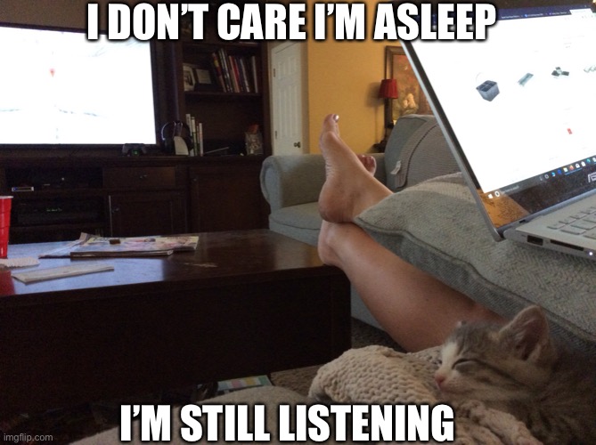 Zzzzz | I DON’T CARE I’M ASLEEP; I’M STILL LISTENING | image tagged in kitten watching tv | made w/ Imgflip meme maker